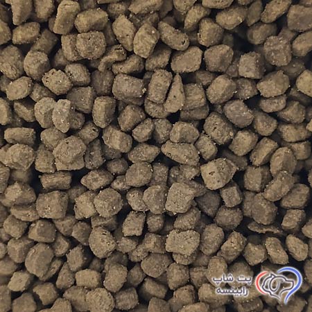 غذای خشک پروپلن گربه بالغ گوارش حساس طعم بره 10 کیلوگرم — تصویر ۳