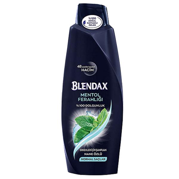 شامپو مردانه بلنداکس BLENDAX مدل MENTOL FERAHLIGI حاوی عصاره نعناع حجم 500 میل — تصویر ۳