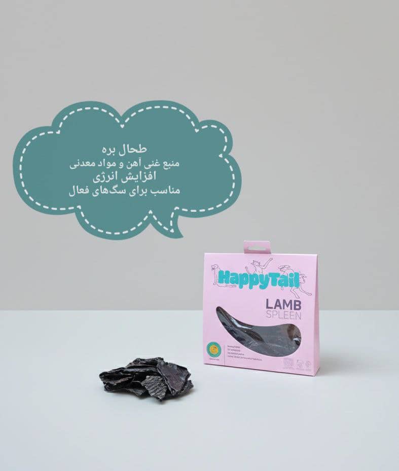 تشویقی طحال بره