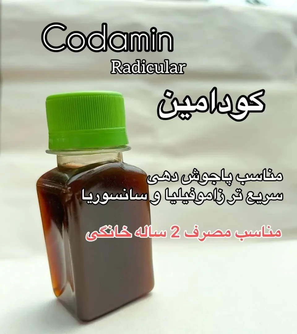 کود کودامین رادیکولار | codamin radicular