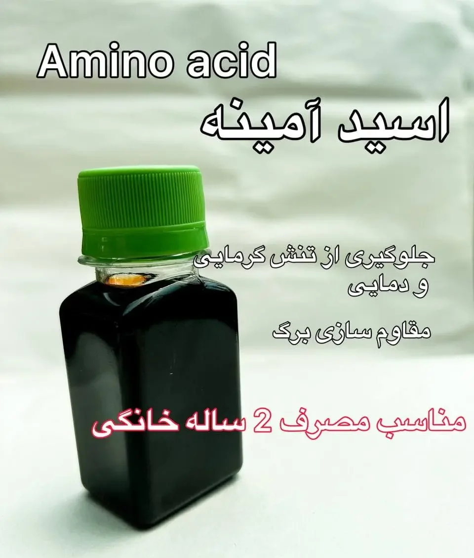 اسید آمینه | amino acid