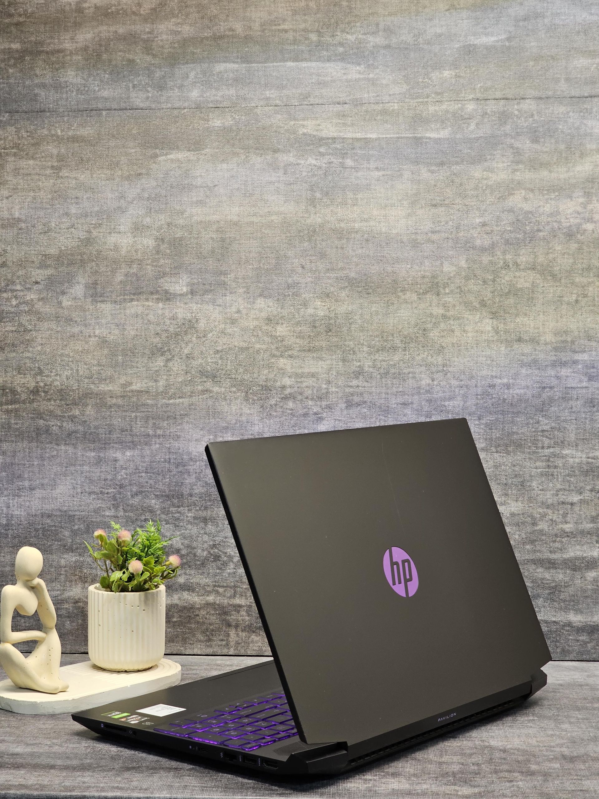 HP Pavilion Gaming 15 | RYZEN 7-4800H | 4GB GTX 1650 Ti — تصویر ۵
