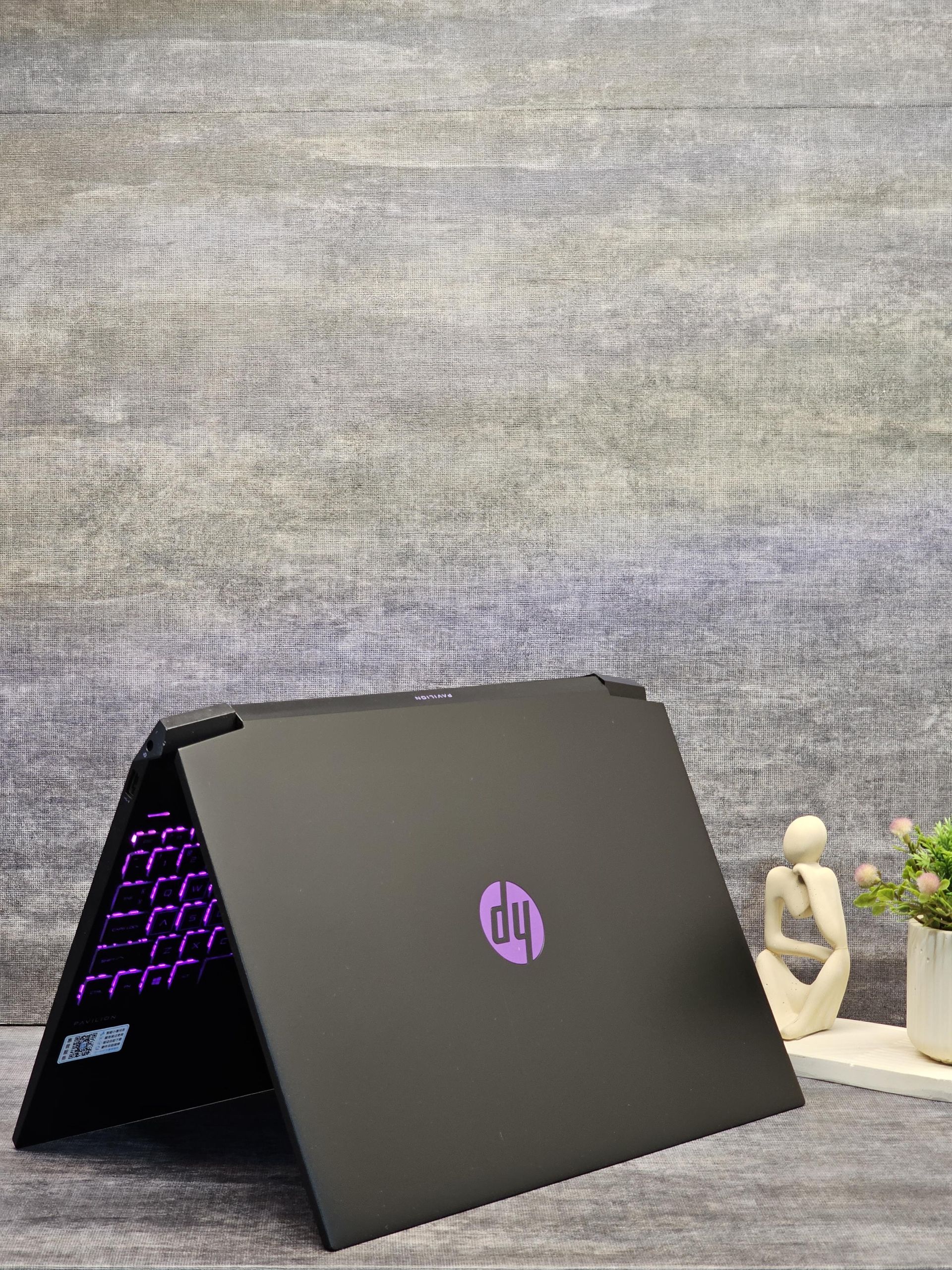 HP Pavilion Gaming 15 | RYZEN 7-4800H | 4GB GTX 1650 Ti — تصویر ۳