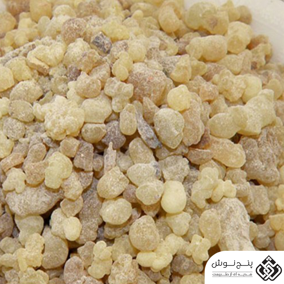 کندر خوارکی 100گرمی