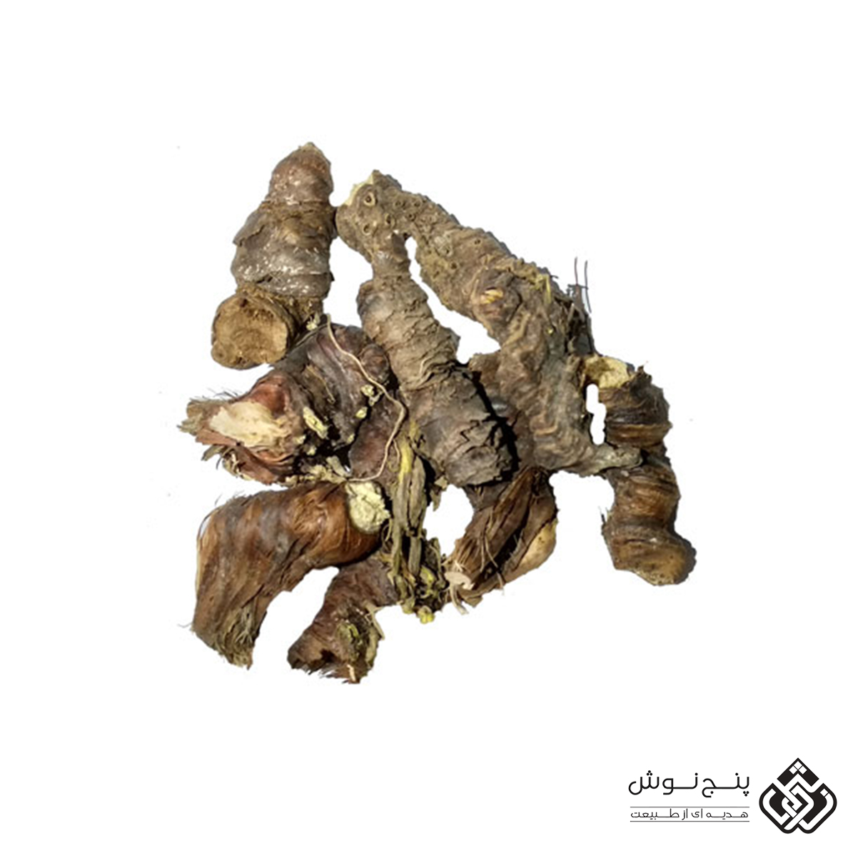 ریشه ایرسا / زنبق 50گرمی