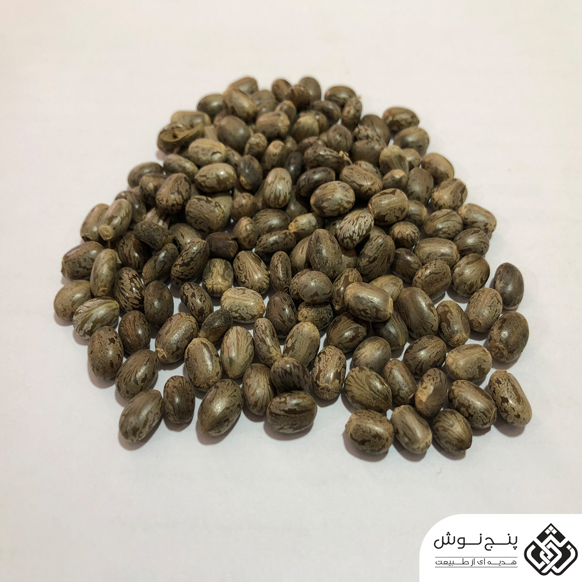 گیاه کرچک هندی (بذر) 50گرمی