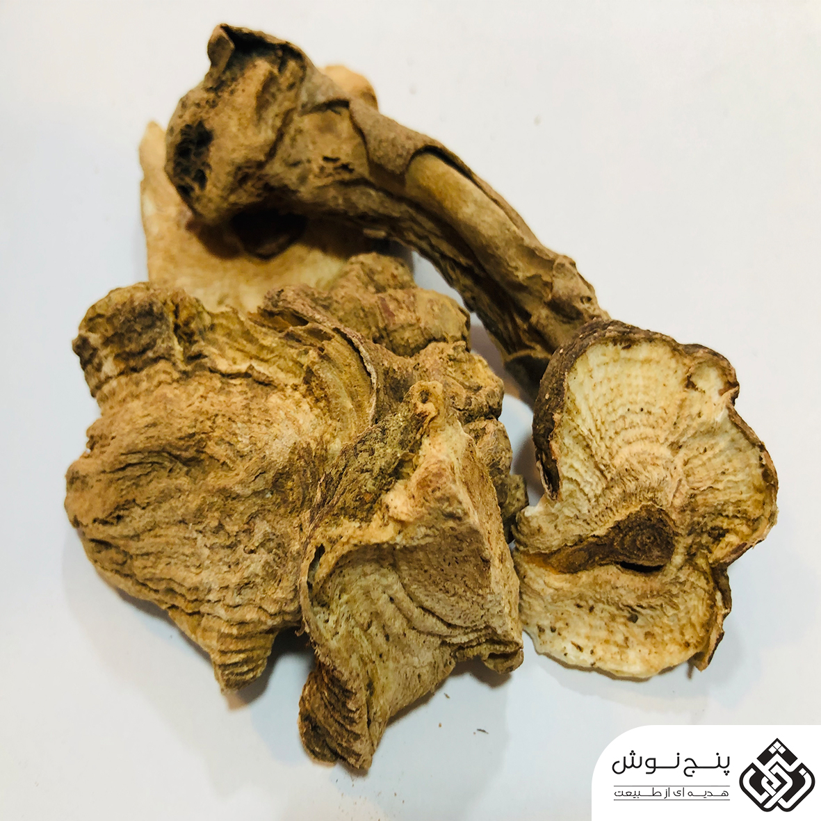 بهمن سرخ (تقویت نیروی جنسی و دفع سنگ کلیه) 50گرمی