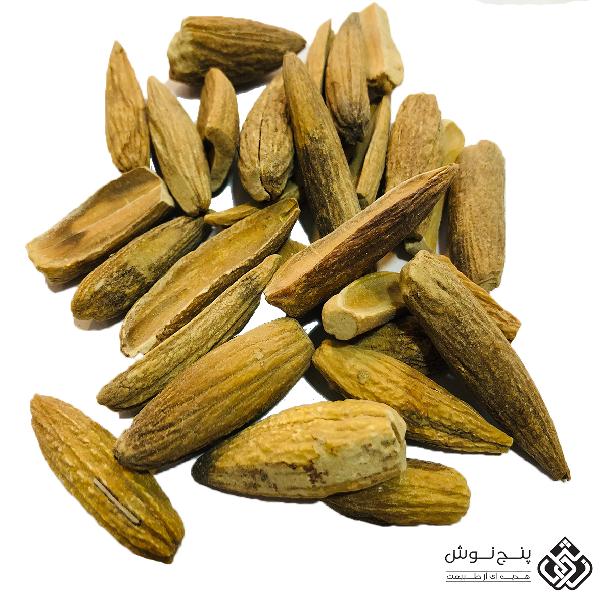 میوه بلوط 200گرمی