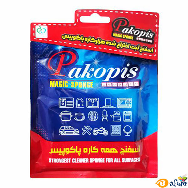 اسفنج همه کاره پاکوپیس مدل ۱۰۰۱