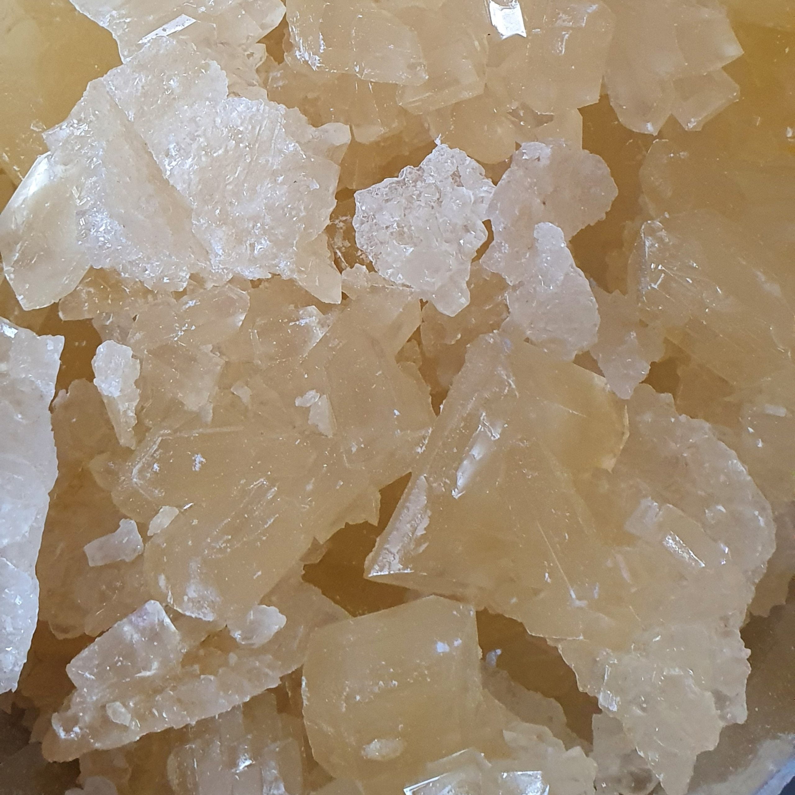 نبات پرده ممتاز — تصویر ۲
