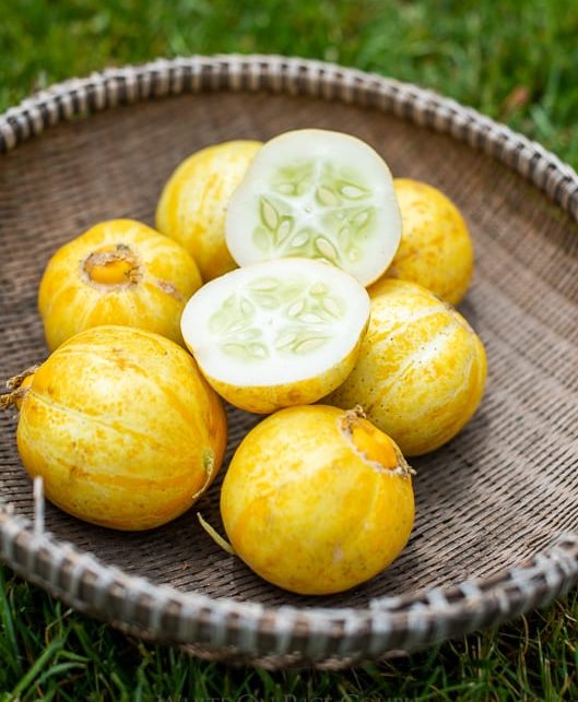 بذر خیار لیمویی (بسیار آبدار شیرین) — تصویر ۲