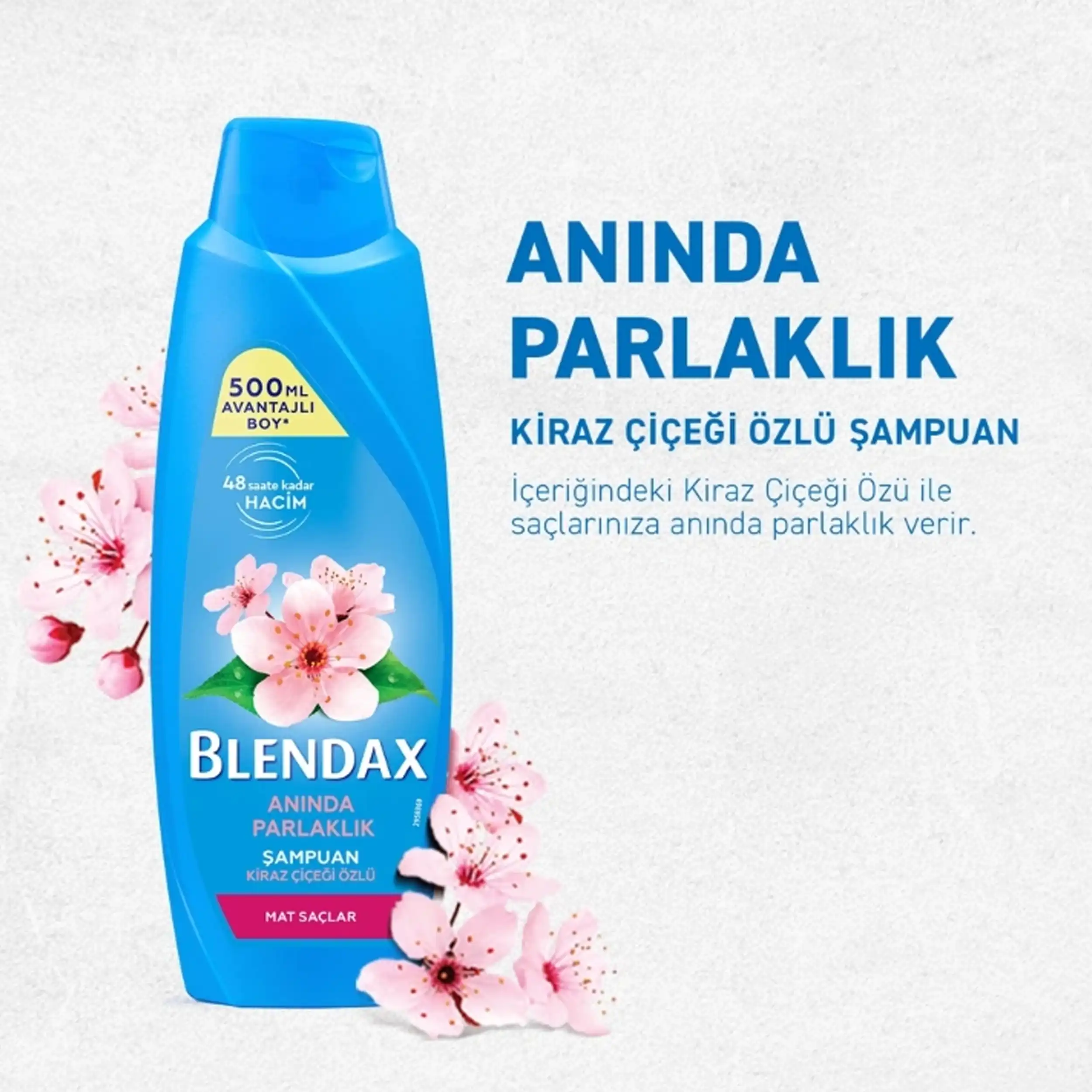 شامپو براق کننده فوری بلنداکس | BLENDAX SHAMPOO INSTANT SHINE 500ml — تصویر ۳
