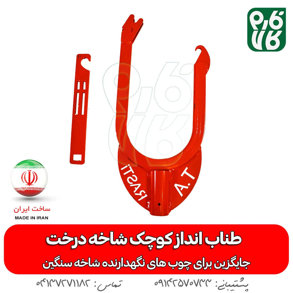 طناب انداز کوچک شاخه درخت — تصویر ۲