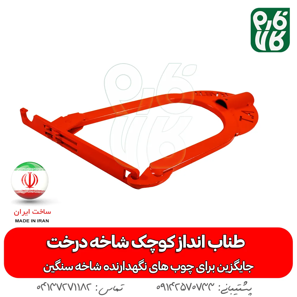 طناب انداز کوچک شاخه درخت — تصویر ۳