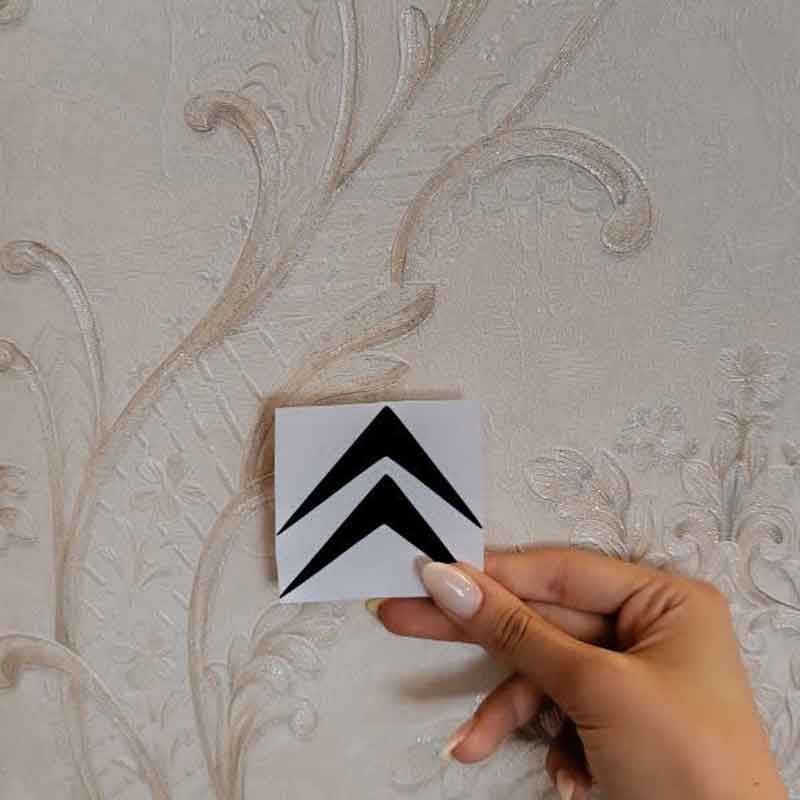 برچسب طرح سیتروئن کد 2668 — تصویر ۵