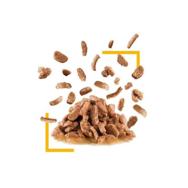 پوچ گربه بد غذا سنسوری تیست رویال کنین _ 85 گرم – Royal Canin Sensory Taste Pouch — تصویر ۳