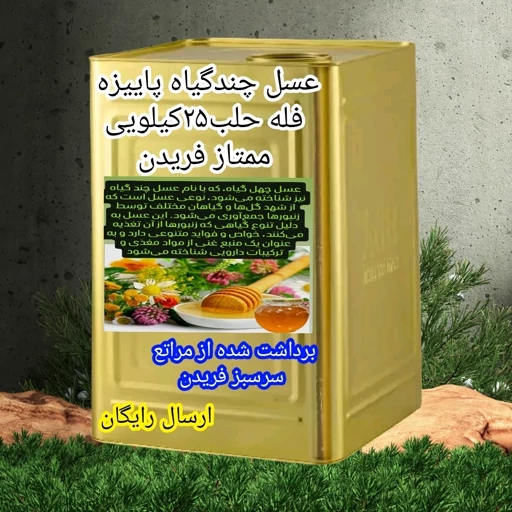عسل چندگیاه پاییزه فله حلب25کیلویی ممتازفریدن(ارسال رایگان)