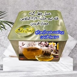 عسل چهل گیاه سفارشی فله نیم حلب12/600کیلویی ممتاز فریدن(ارسال رایگان به شهرستان فریدن) — تصویر ۳