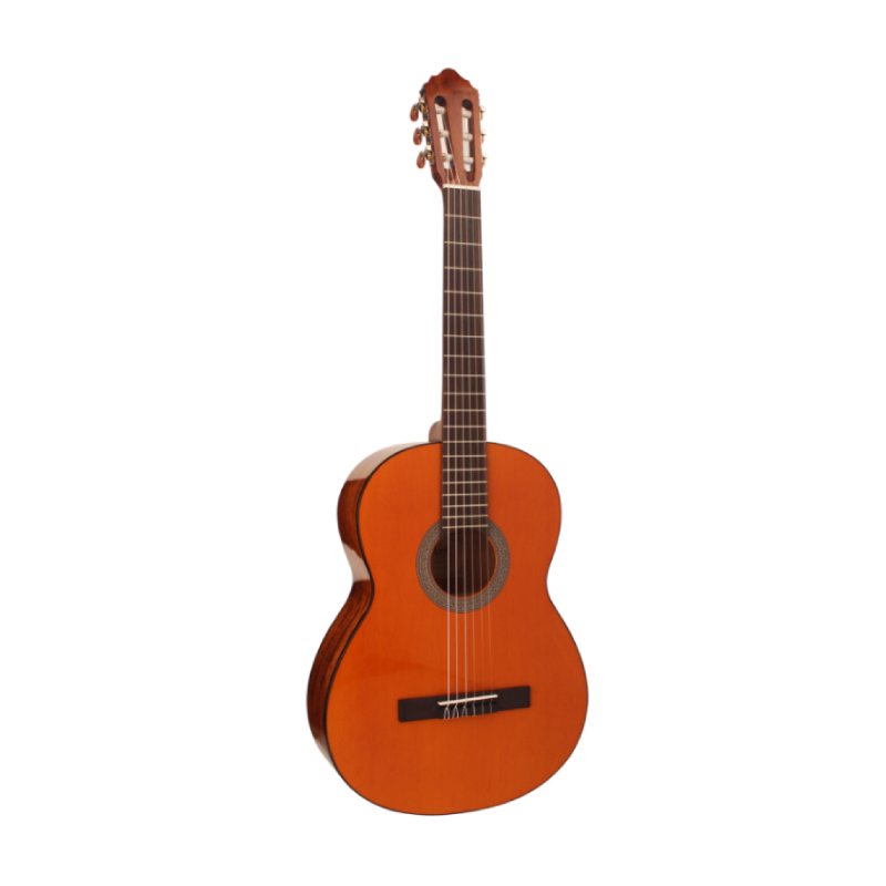 Cort AC100DX-YT