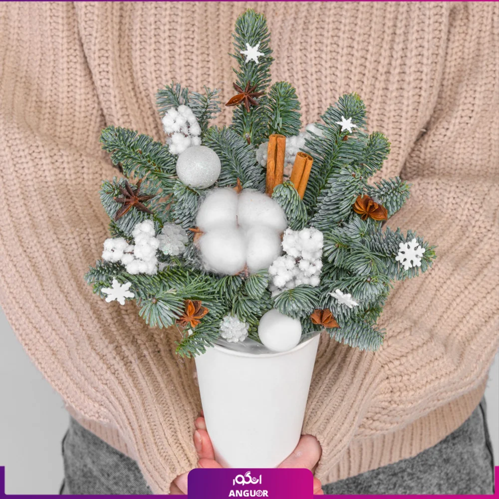 باکس کریسمس کوچک (سال نو میلادی)