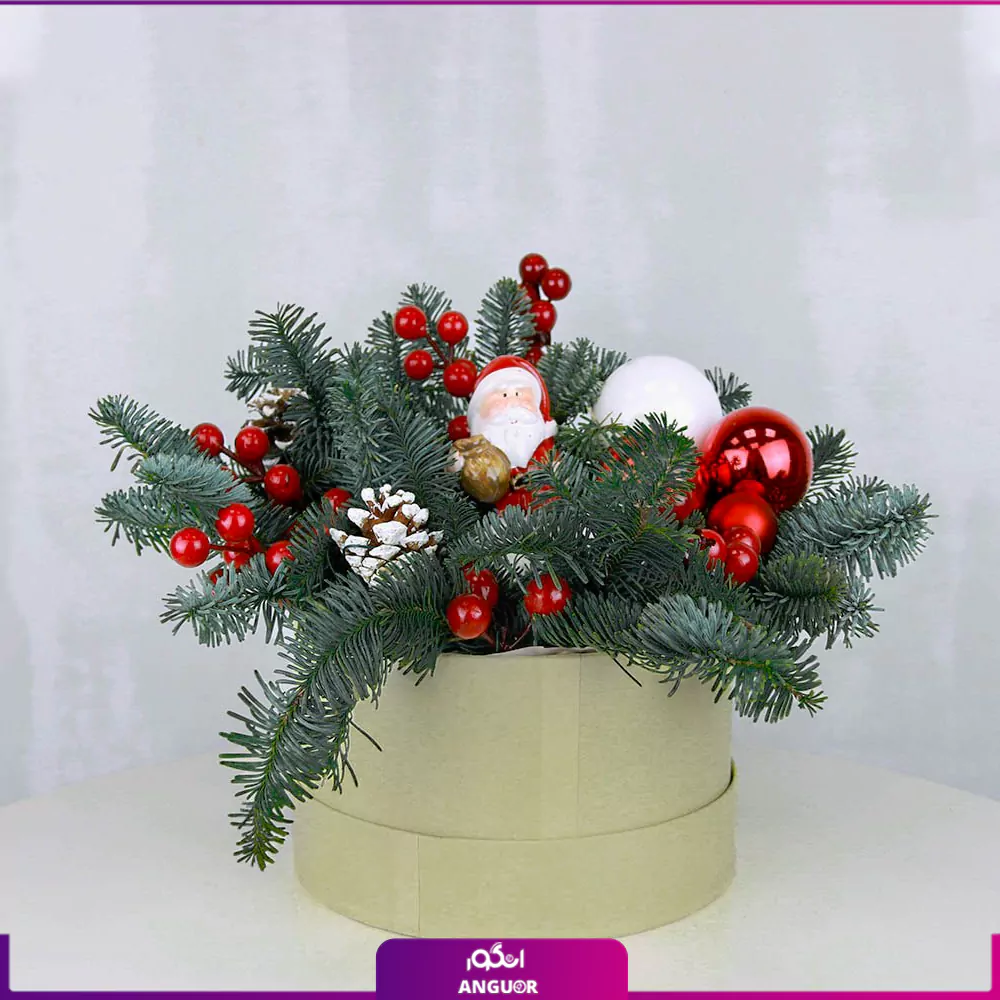باکس گل کریسمس بابانوئل (سال نو میلادی)