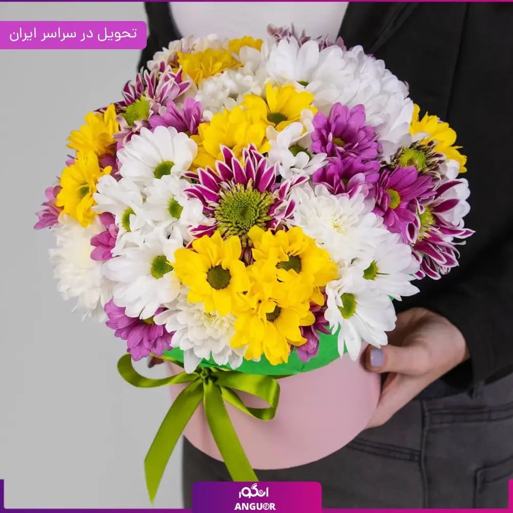 باکس گل داوودی