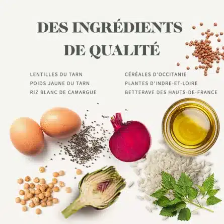غذای بچه گربه بابین با طعم مرغ بسته ۱.۵ کیلویی — تصویر ۳