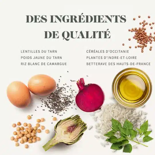 غذای گربه بابین با طعم سالمون وزن ۱.۵ کیلویی — تصویر ۳