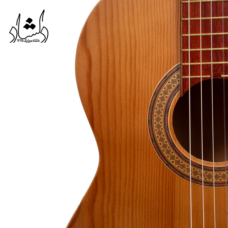 گیتار آگرین طرح 6 — تصویر ۵