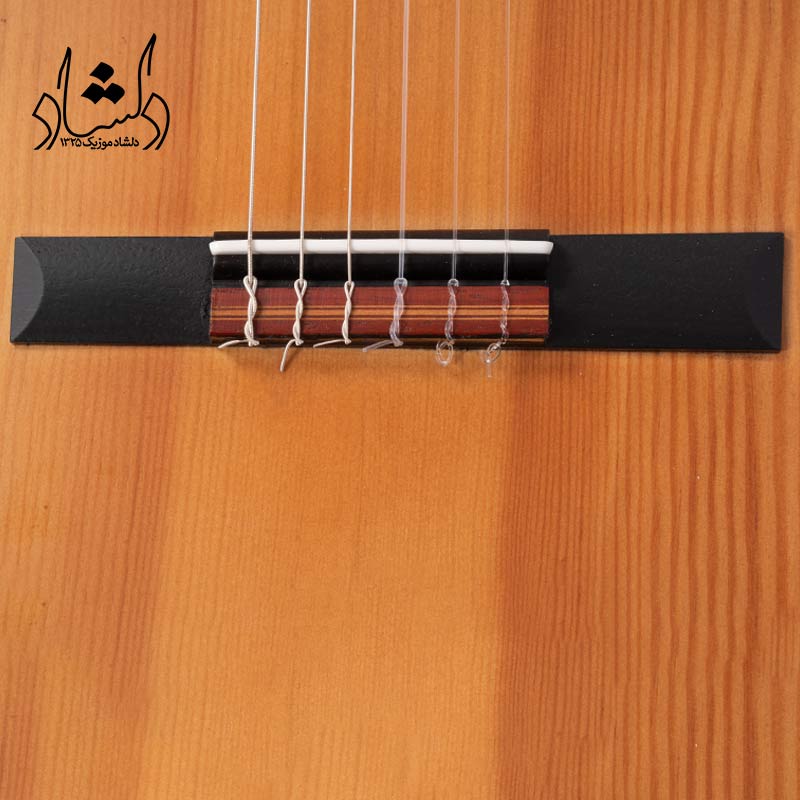 گیتار آگرین طرح 6 — تصویر ۶