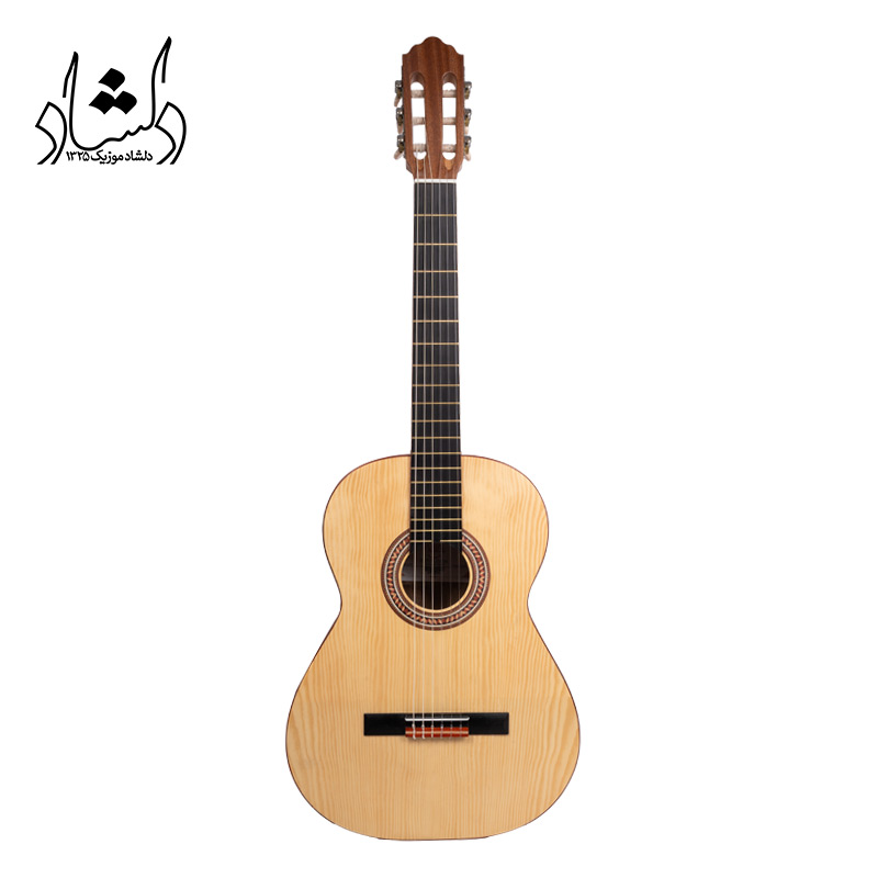 گیتار آگرین طرح 5