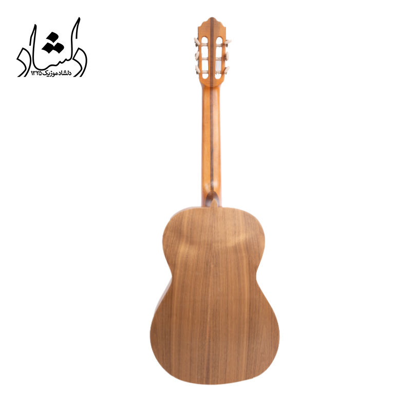 گیتار آگرین طرح 4 — تصویر ۳