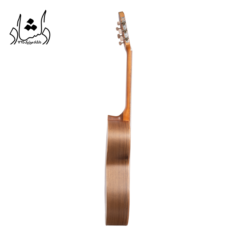 گیتار آگرین طرح 4 — تصویر ۴