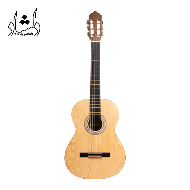 گیتار آگرین طرح 4