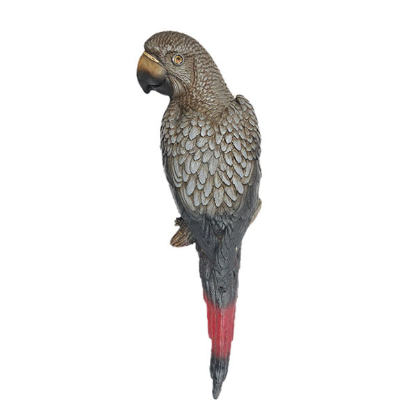 مجسمه مدل طوطی کاسکو دیواری