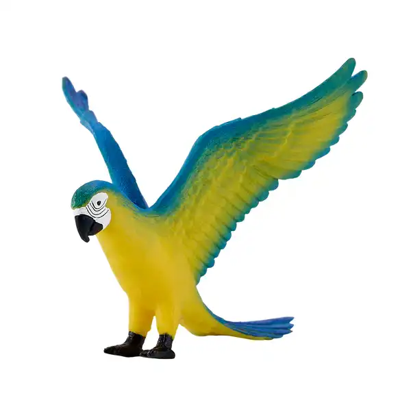 طوطی ماکائو آبی موژو Mojo