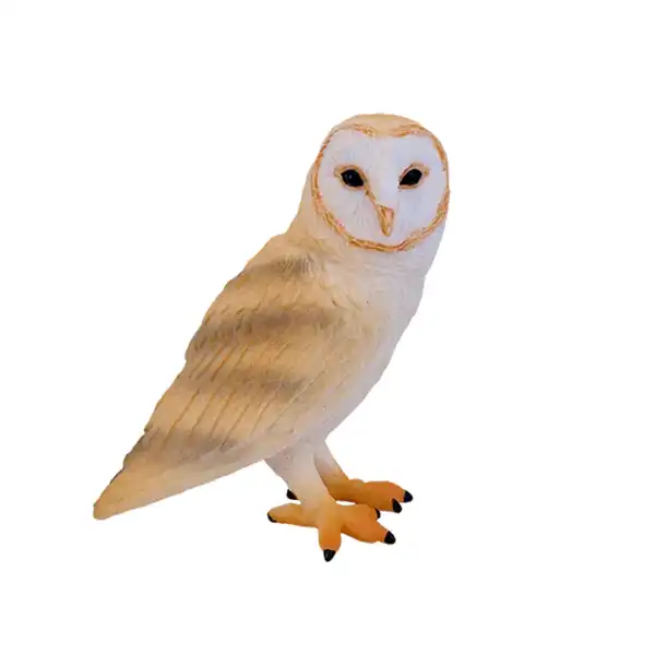 جغد انبار موژو Mojo