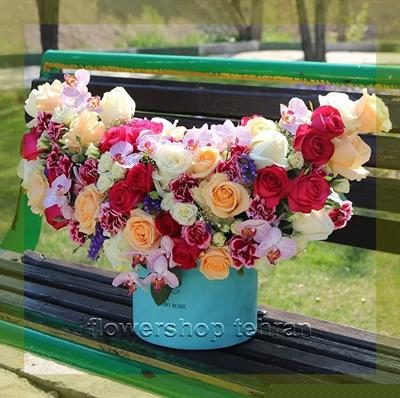 گلدان سانسوریا ابلق مناسب شرکت‌ها، مطب‌ها و فضاهای اداری
