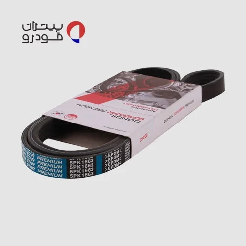 تسمه دینام 5pk1663 دانگیل — تصویر ۳