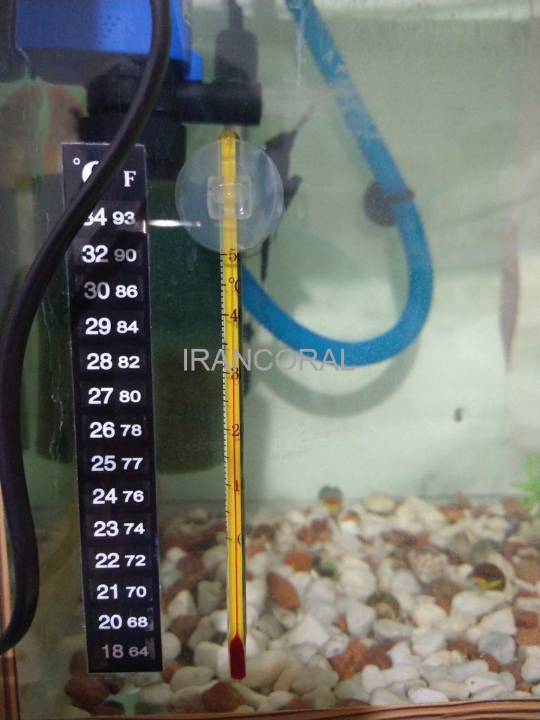دماسنج جیوه ای آکواریوم — تصویر ۳