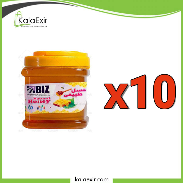 عسل بیز | 900 گرمی | استاندار پک 10 عددی
