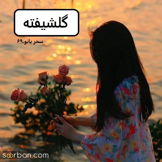 رمان گلشیفته | دانلود | کتاب خوان
