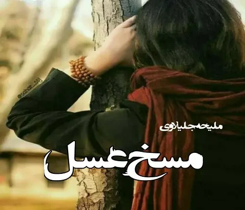 رمان مسخ عسل | دانلود | کتاب خوان