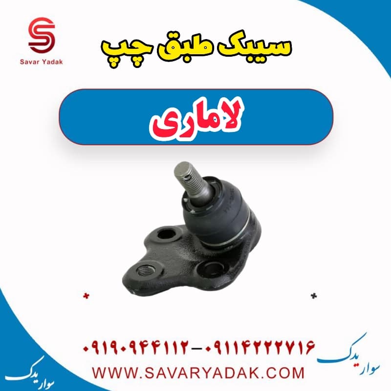 سیبک طبق چپ لاماری — تصویر ۲