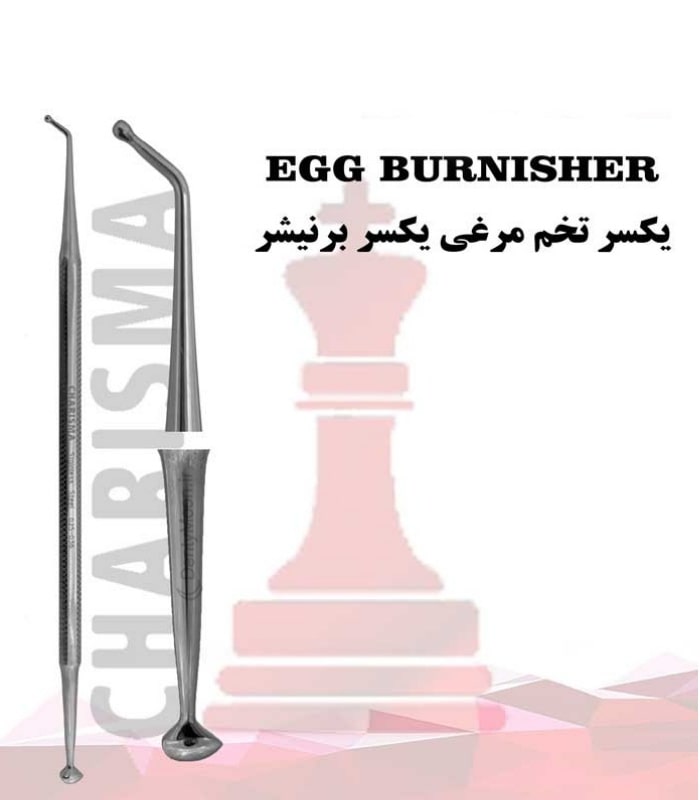 برنیشر تخم مرغی کاریزما Charisma — تصویر ۲