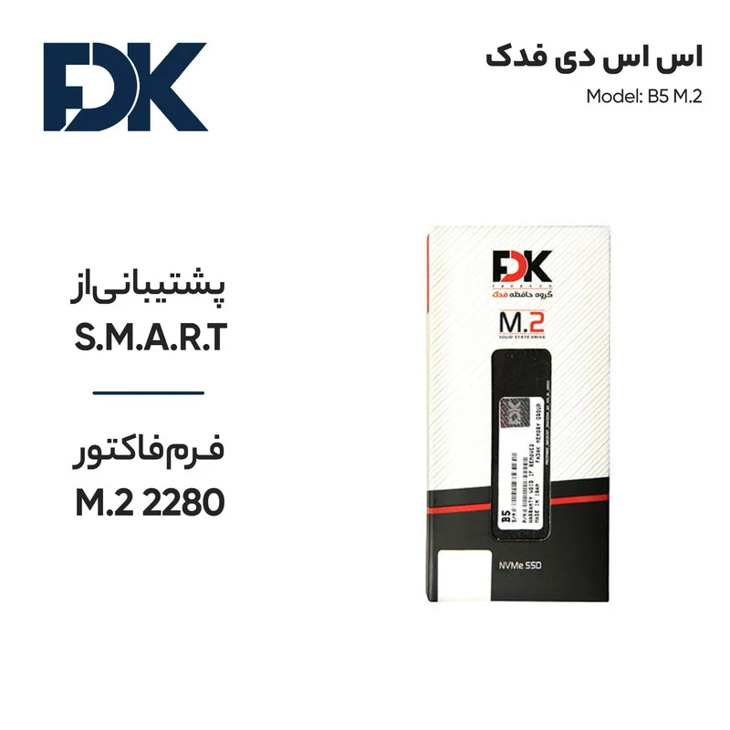 اس اس دی اینترنال فدک مدل M.2 ظرفیت 256 گیگابایت — تصویر ۵