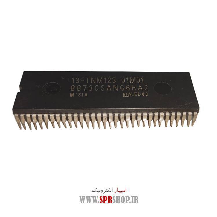 IC 8873CS ANG
