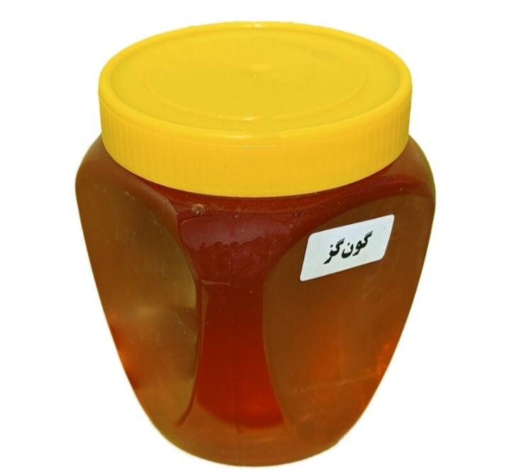 عسل طبیعی گون گز (۱ کیلوگرم)