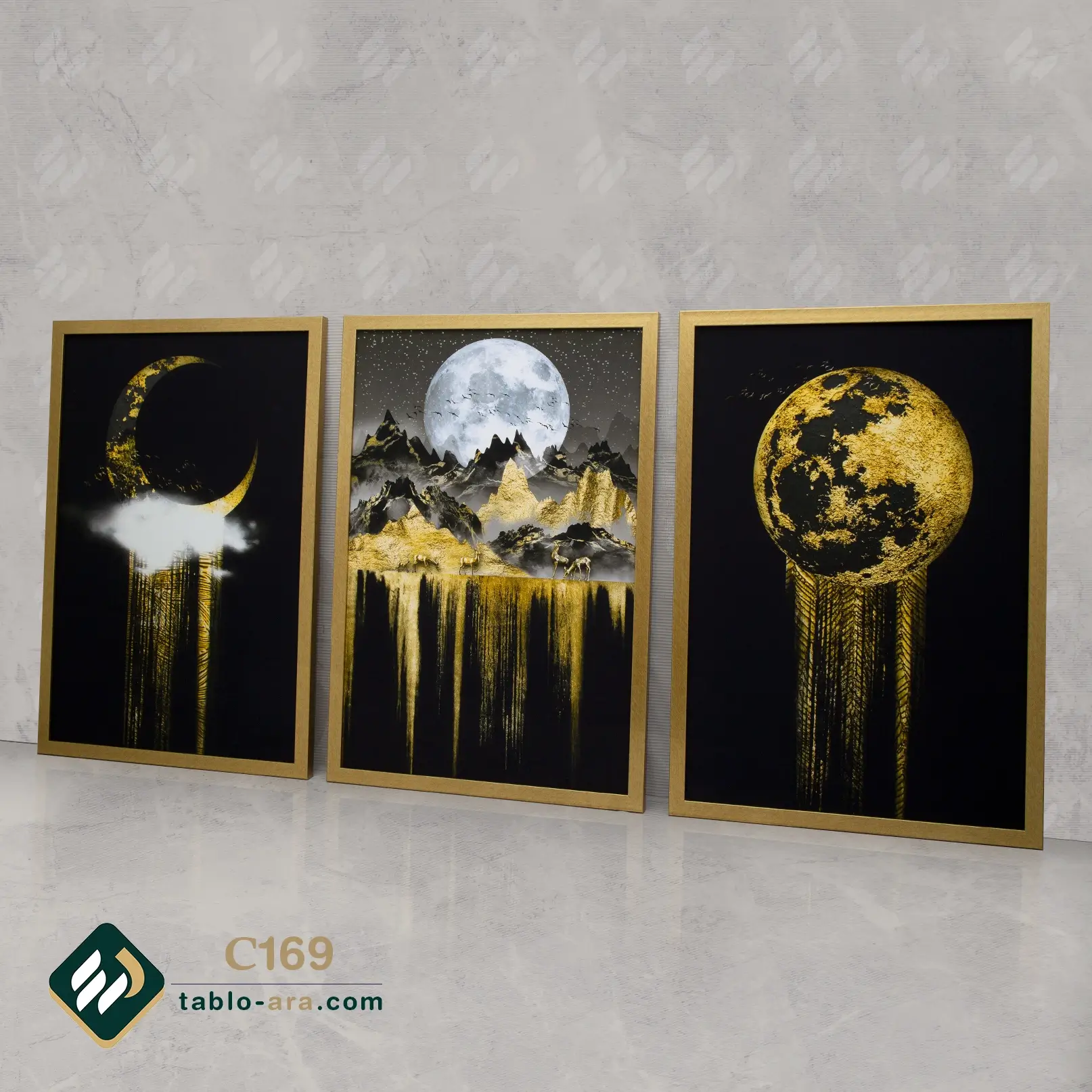 مجموعه تابلو دکوراتیو سه عددی کد C169