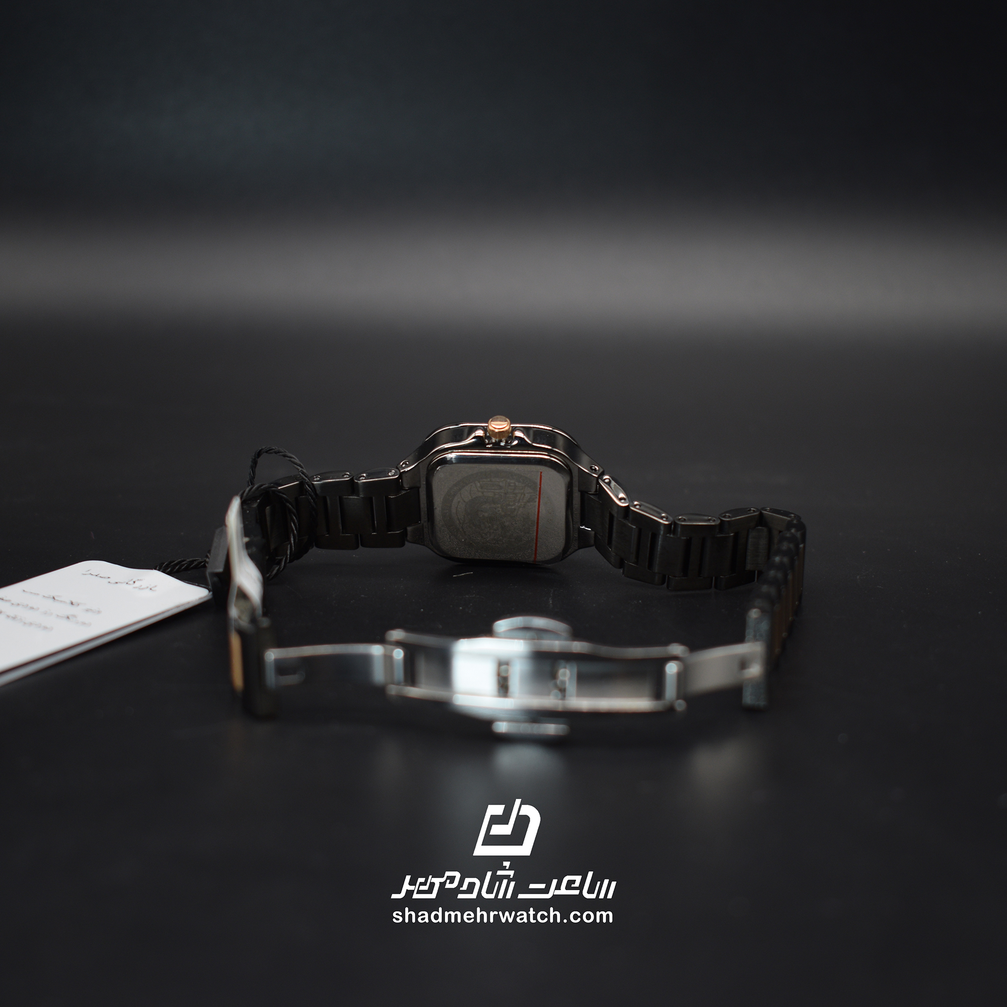 ساعت مچی ست زنانه ونیز مدل V801478201 — تصویر ۴